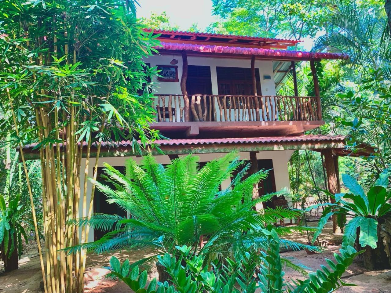 Walawa Blue Sapphire Hotel Udawalawe Luaran gambar