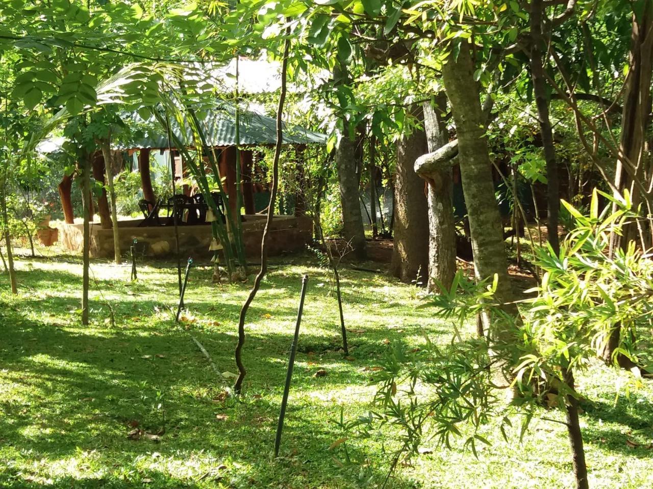 Walawa Blue Sapphire Hotel Udawalawe Luaran gambar